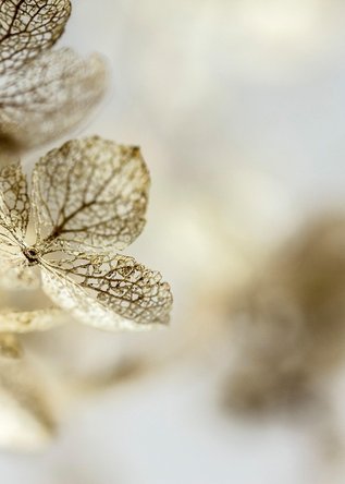 flicker