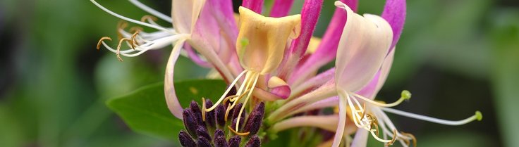 blog 3